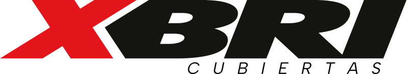 XBRI